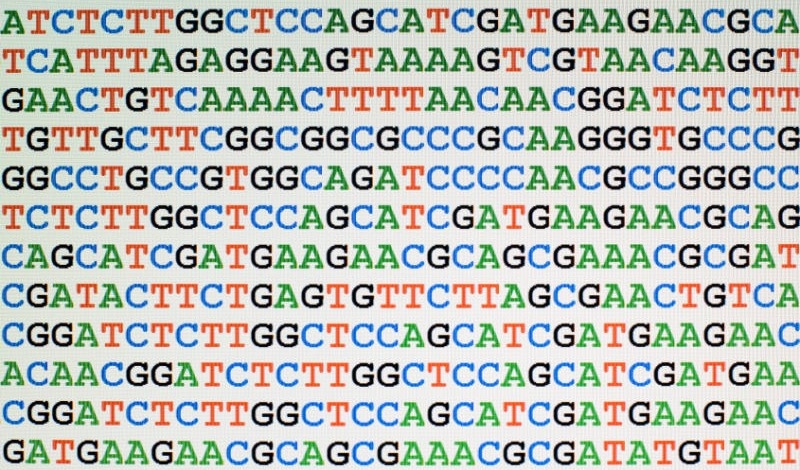 secuencia-DNA